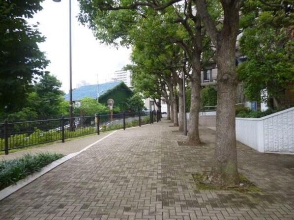 六本木ビュータワーの物件内観写真